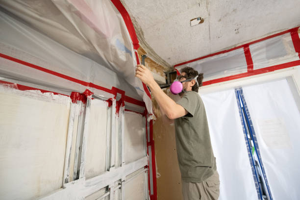 Best Indoor Air Quality Assessment  in Heathrow, FL