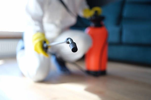 Best Residential Mold Inspection & Testing  in Heathrow, FL