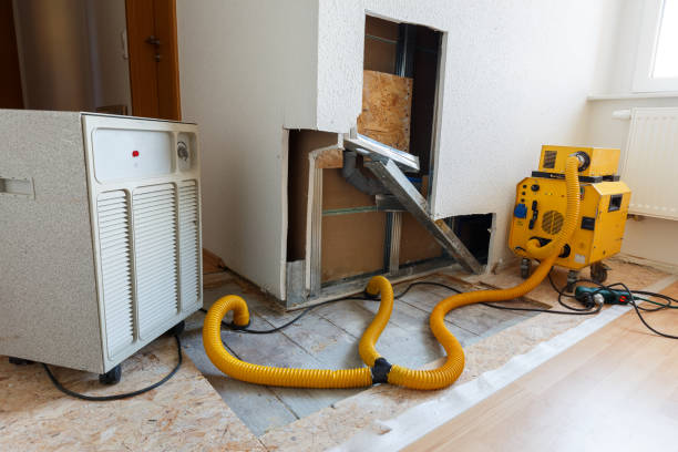 Best Residential Mold Inspection & Testing  in Heathrow, FL